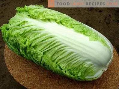 Peking Cabbage: Benefit and Harm