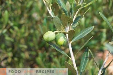 Jak zrobić oliwę z oliwek