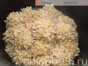 Veiseliha riisipallidega