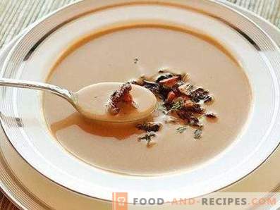 Chanterelle Cream Soup