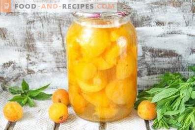 Komposit av aprikoser för vintern