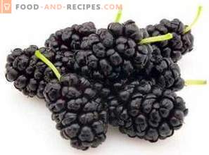 Mulberry: beneficios para la salud y daños