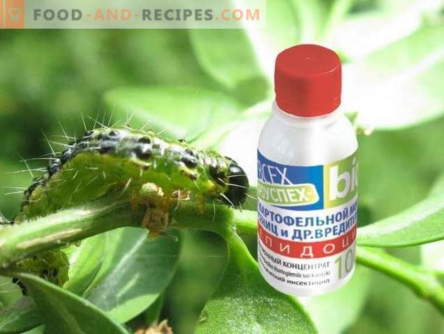 Lepidocide jest skutecznym lekiem przeciwko szkodnikom zjadającym liście
