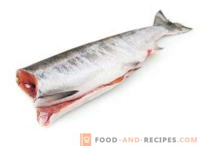 Chum salmon: benefit and harm